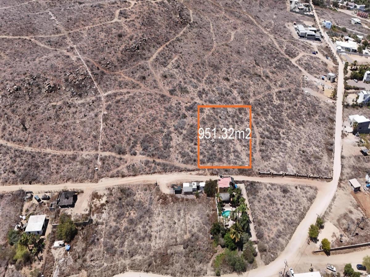 MLS #26-2059 image #0