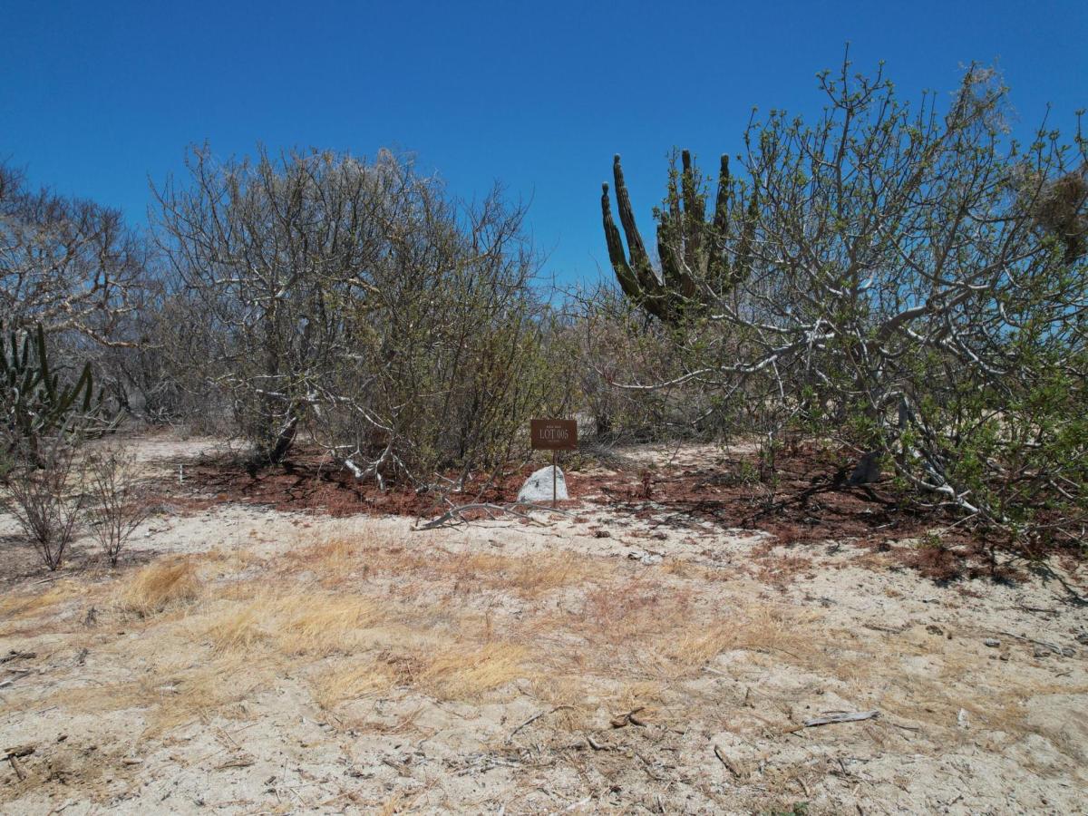 MLS #26-2071 image #0