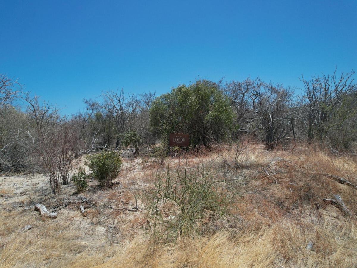 MLS #26-2072 image #0