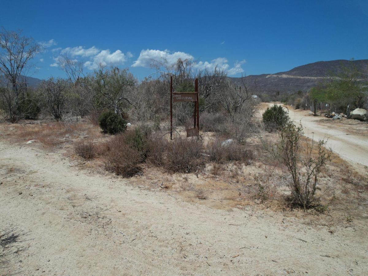 MLS #26-2074 image #0