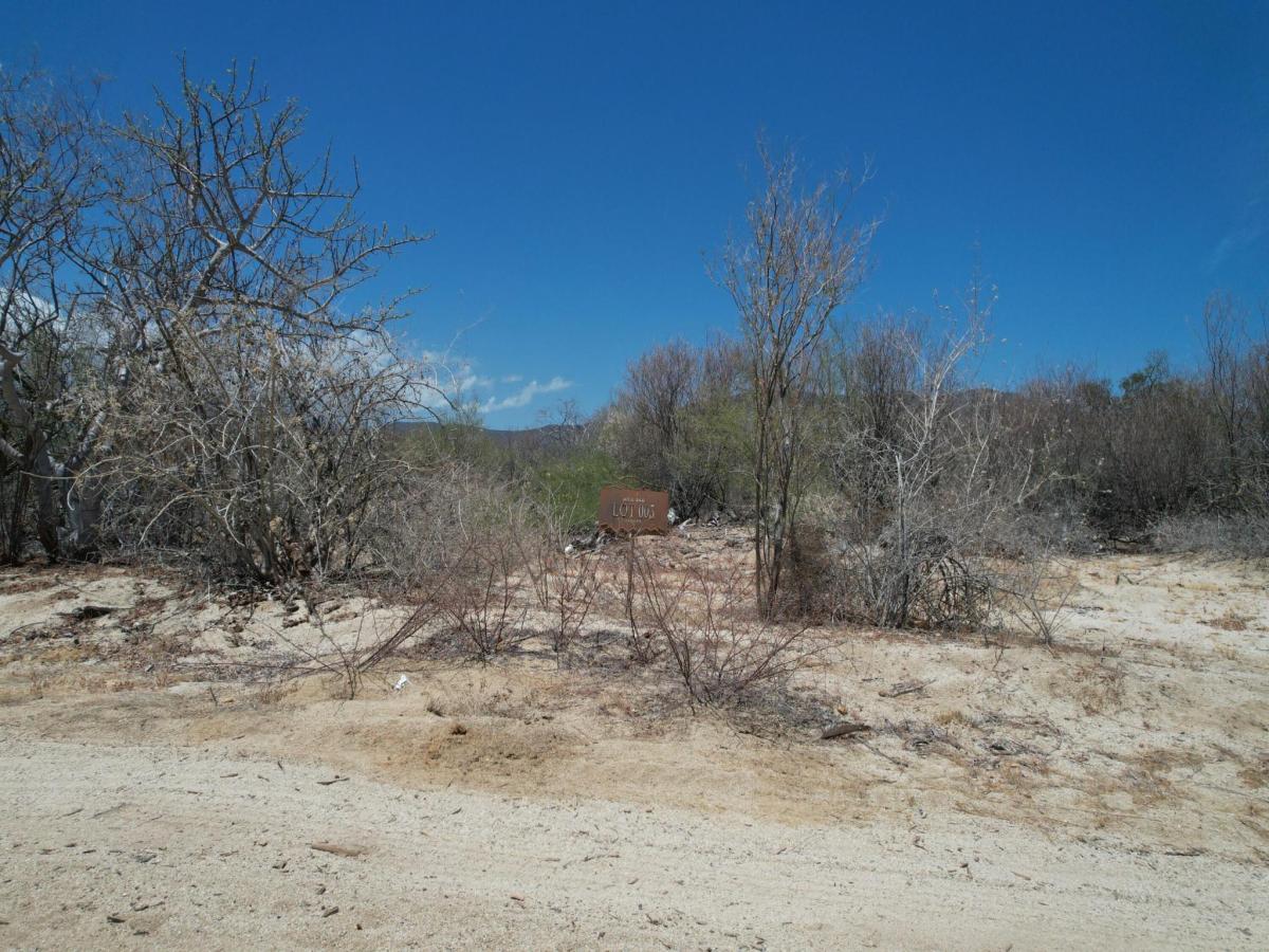 MLS #26-2075 image #0