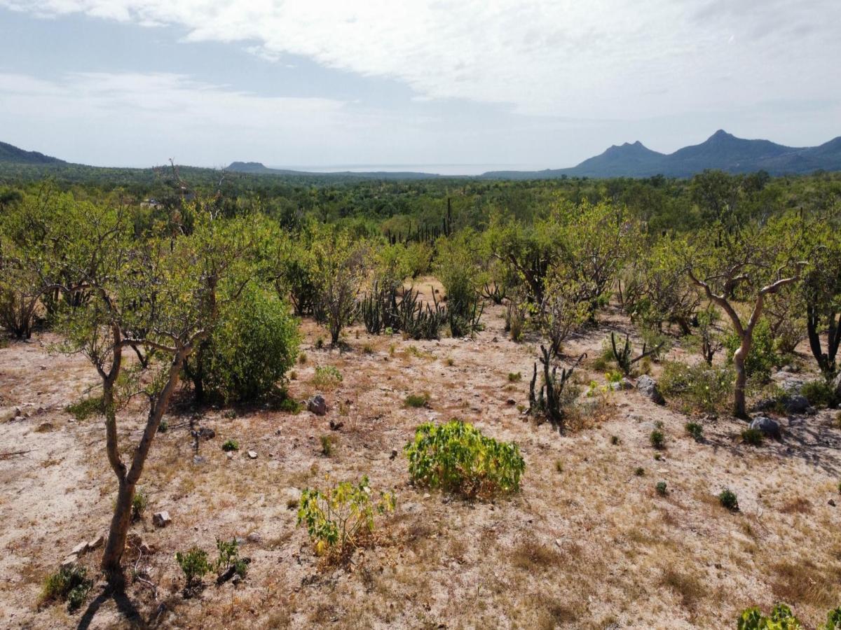 Rancho Laguna Lot 142 East Cape BCS MLS #26-208 17 MLS #26-208 image #0