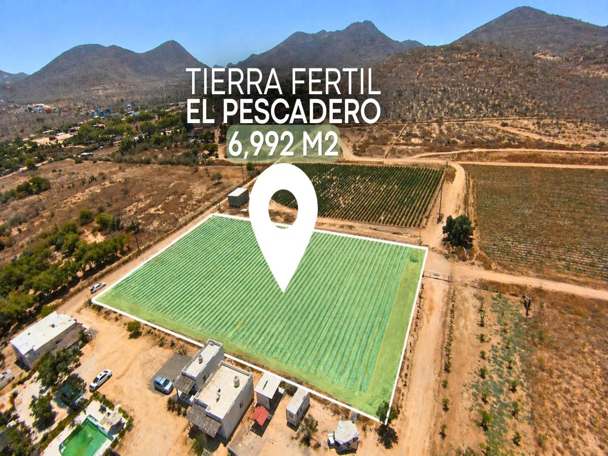 MLS #26-2086 image #0