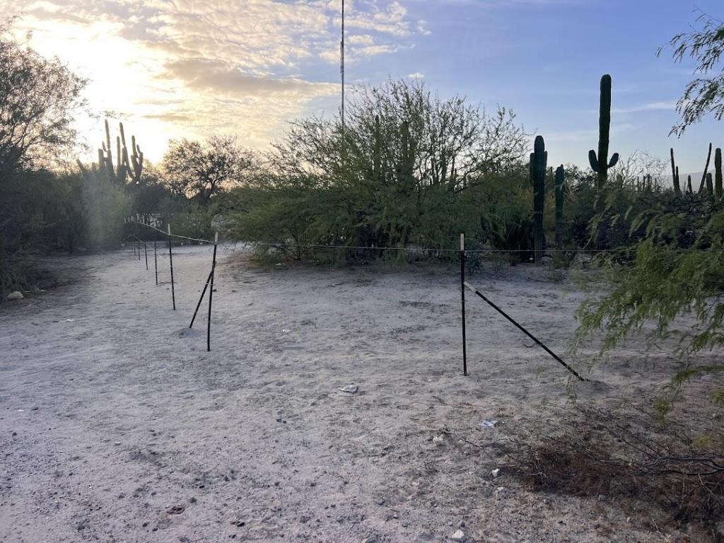 MLS #26-232 image #0