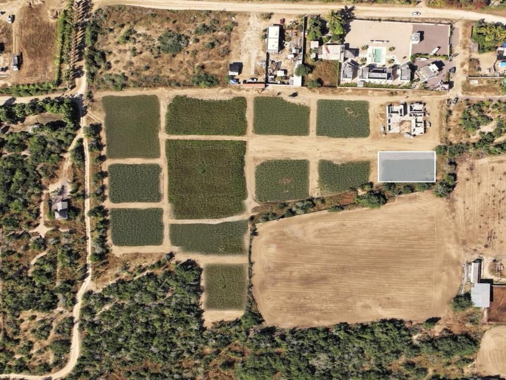 MLS #26-273 image #0