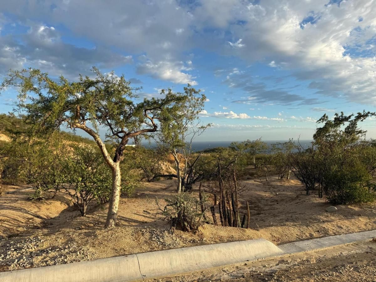 MLS #26-291 image #0