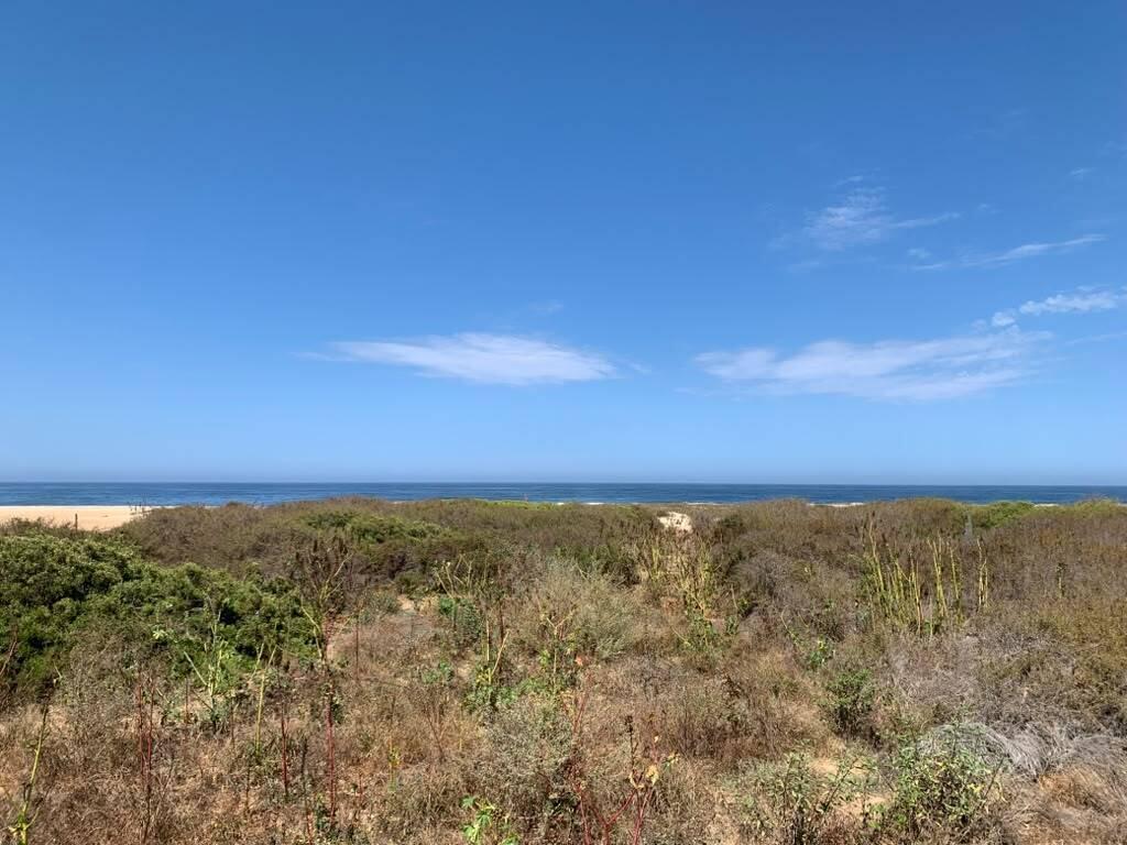 Lot 0793 BEACHFRONT Beachfront Pescadero Pacific BCS MLS #26-3017 33 MLS #26-3017 image #0