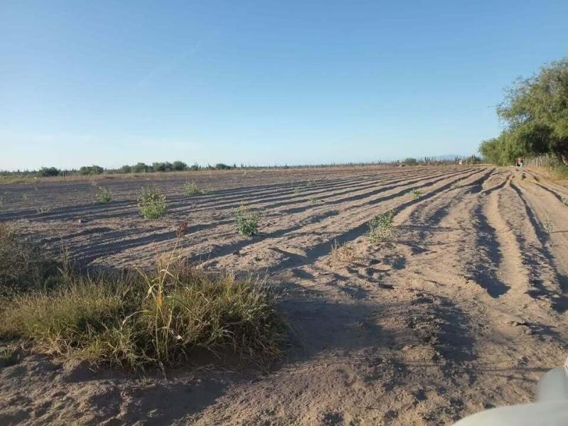 CALLE ACCESO ALFREDO V BONFIL TERRENO EN VENTA Pacific BCS MLS #26-3047 9 MLS #26-3047 image #0
