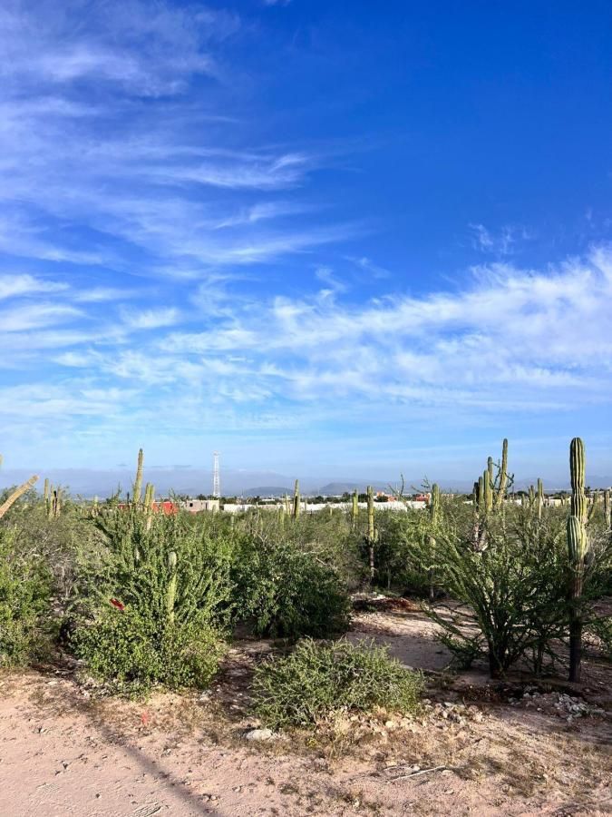 Calle 12 Lot calle 12 La Paz BCS MLS #26-306 119 MLS #26-306 image #0