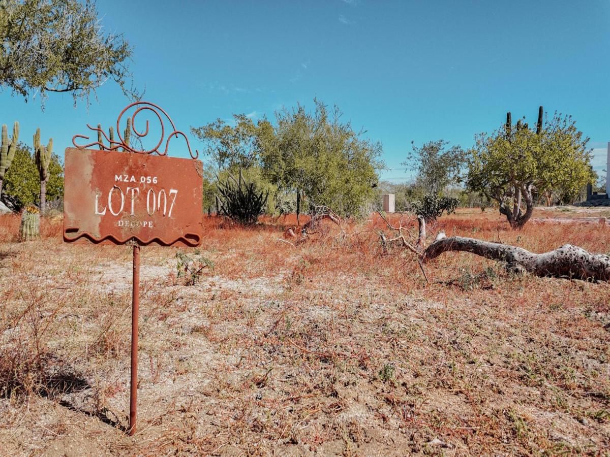 MLS #26-319 image #0