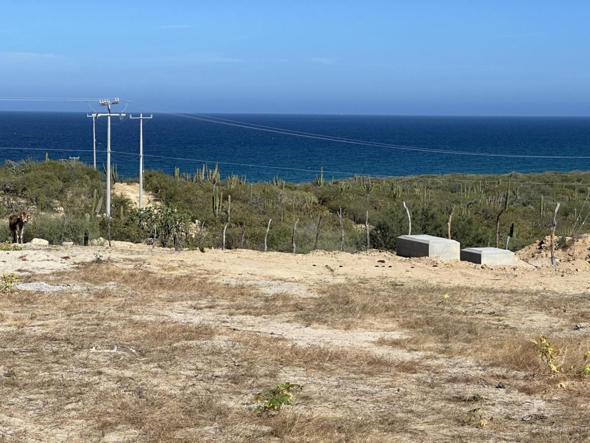 MLS #26-324 image #0