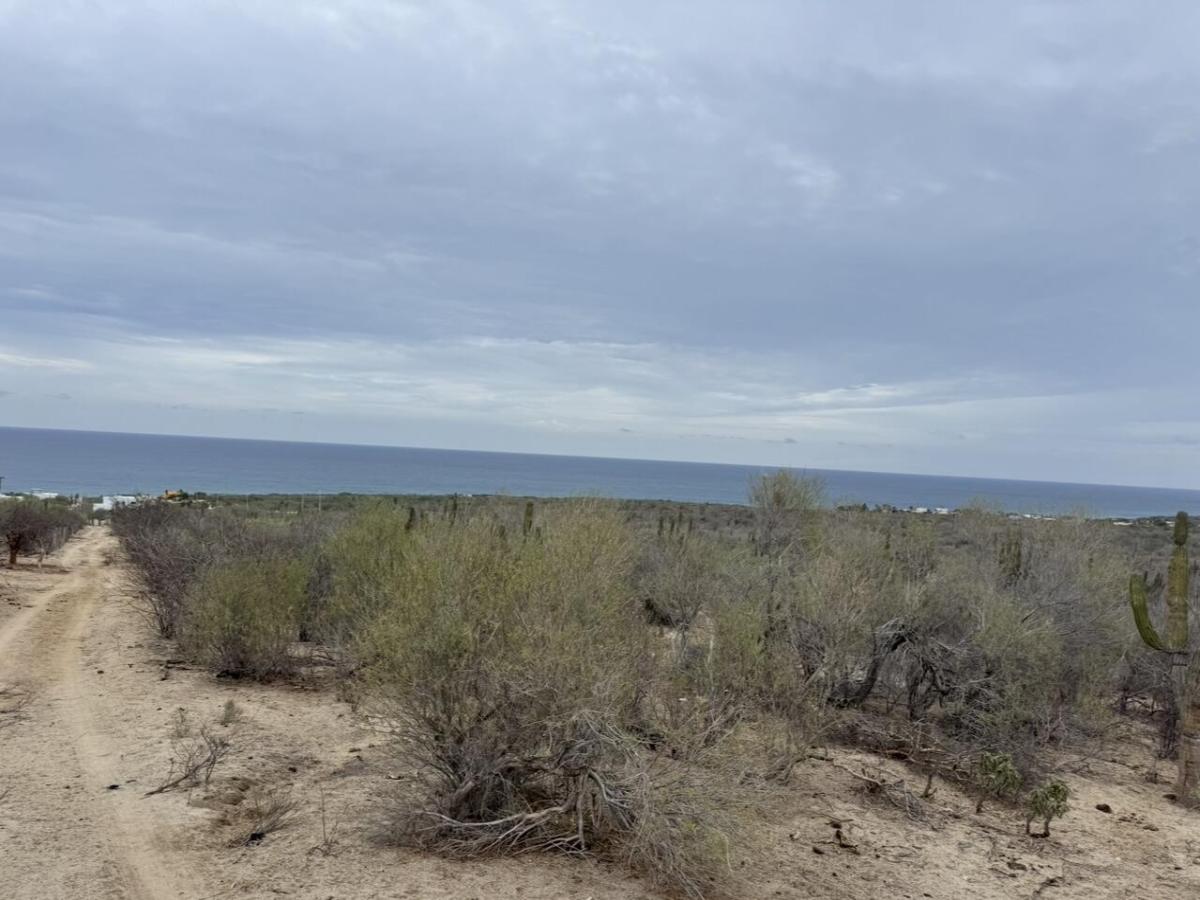 MLS #26-331 image #0