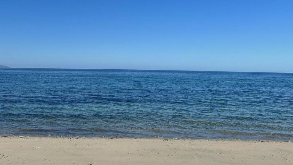 El Cardonal Beachfront Paradise Lot 181 East Cape BCS MLS #26-3397 13 MLS #26-3397 image #0