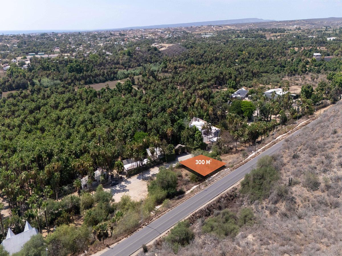 Lote Las Palmas Todos Santos Pacific BCS | MLS #26-3468 39 MLS #26-3468 image #0