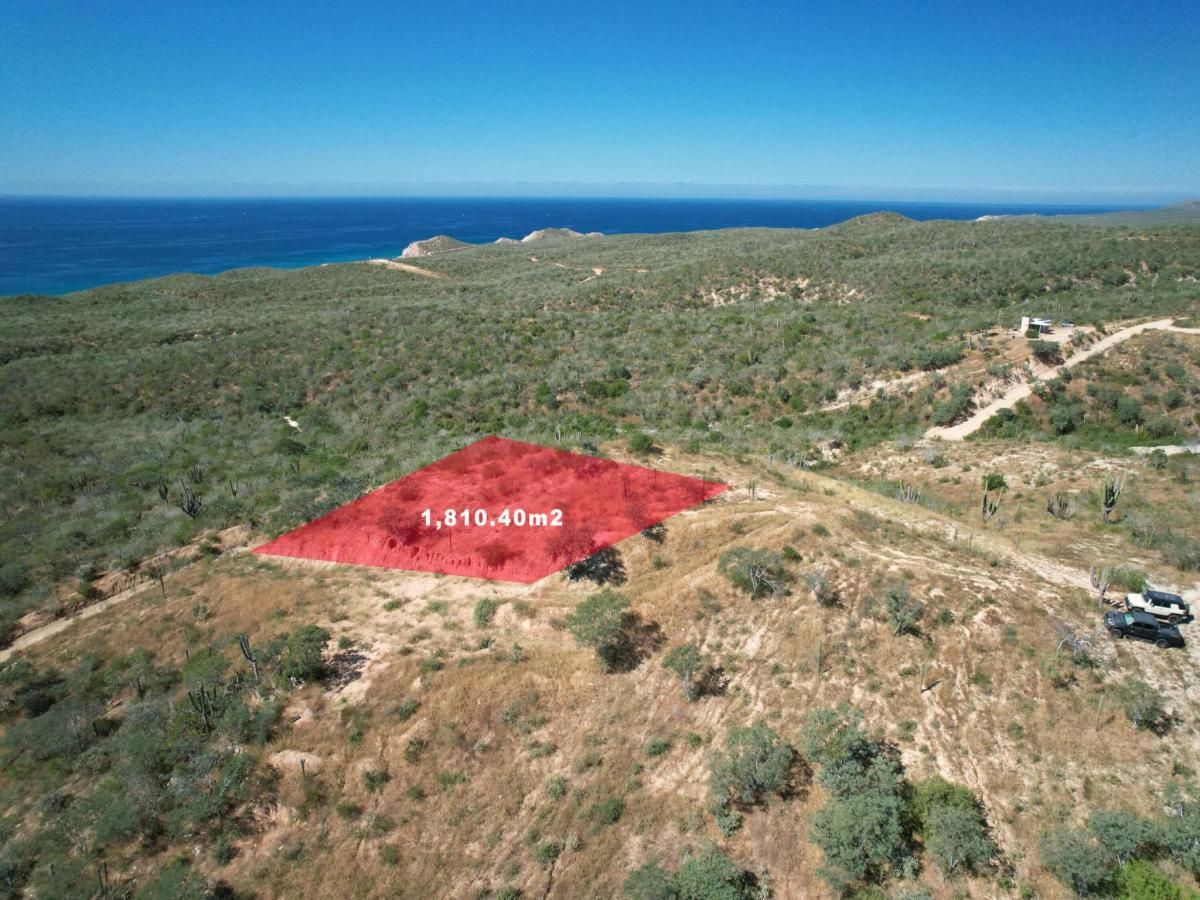 MLS #26-368 image #0