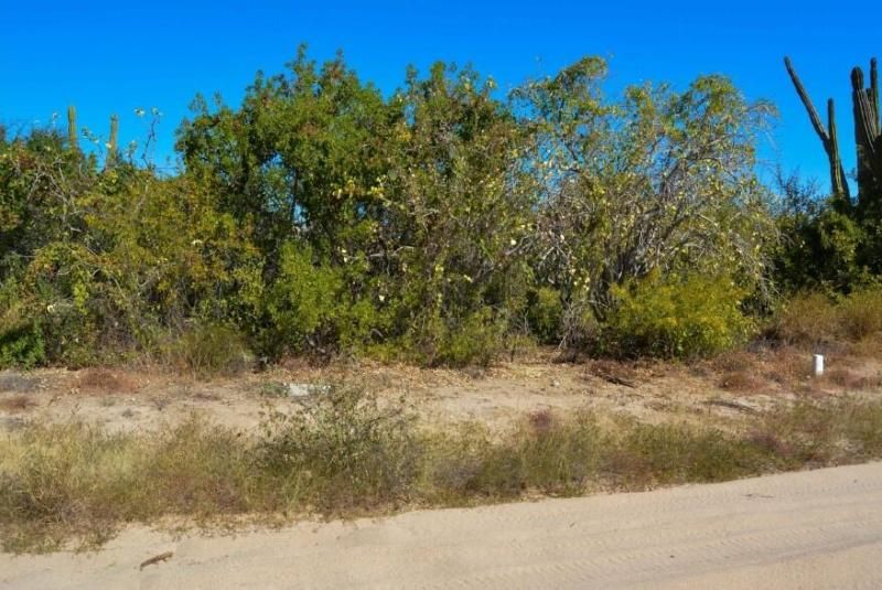 MLS #26-382 image #0