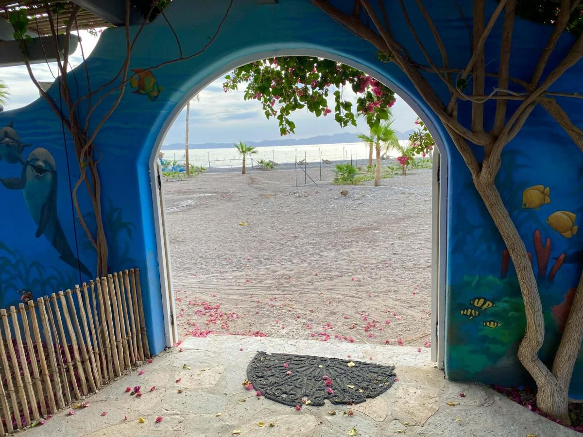 MLS #26-455 image #0