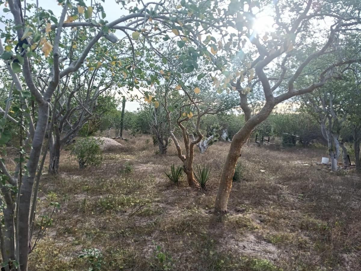 MLS #26-465 image #0