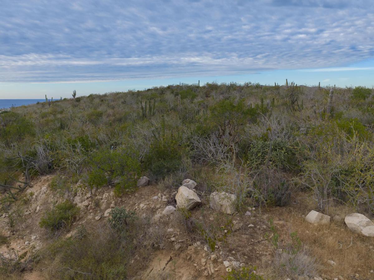 MLS #26-473 image #0