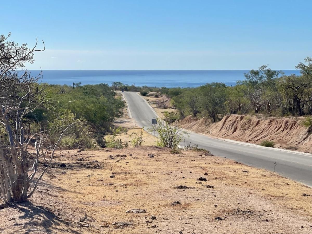 ZACATÓN CHERRY PICK 50HA East Cape BCS MLS #26-580 29 MLS #26-580 image #0