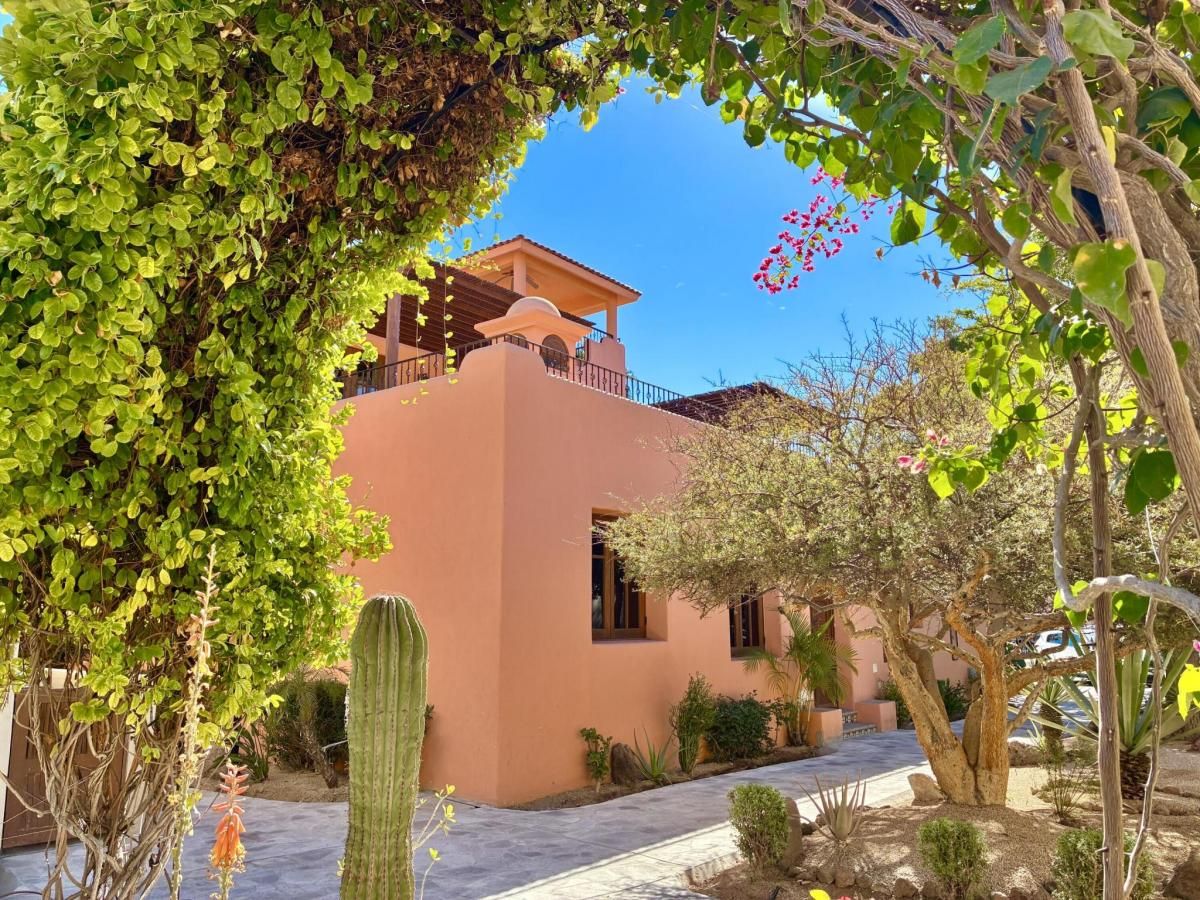 MLS #26-608 image #0