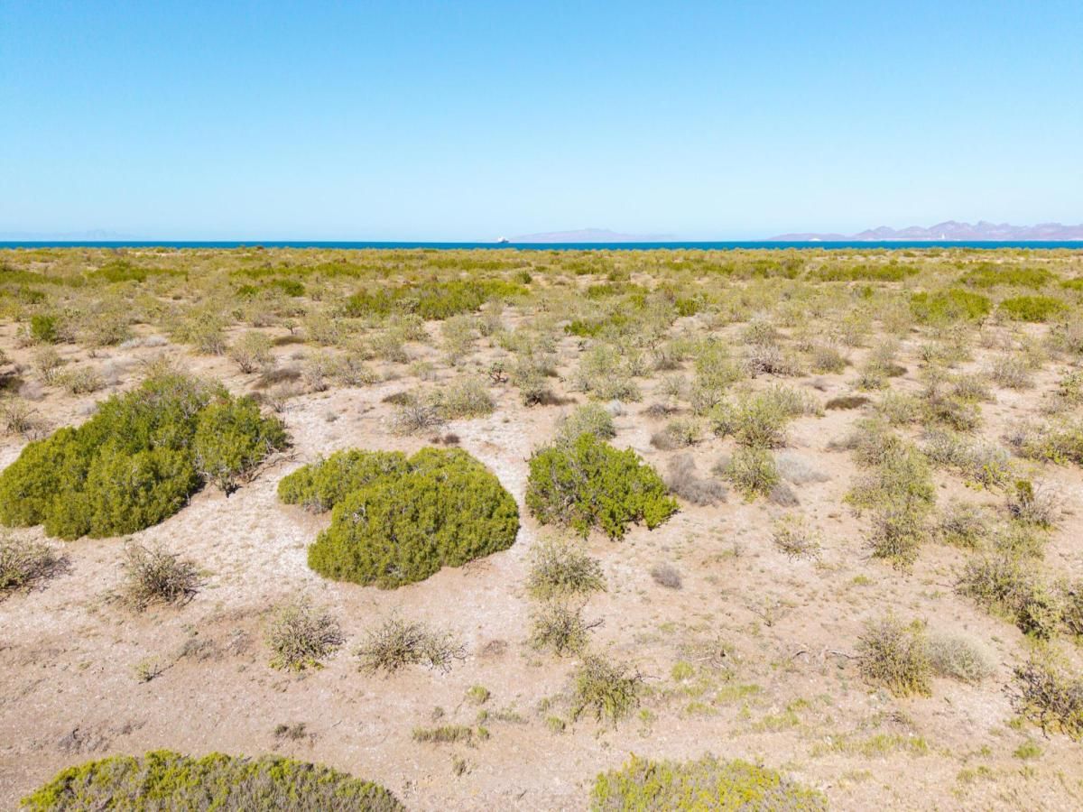 MLS #26-631 image #0