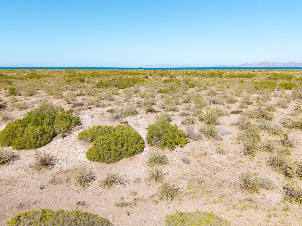 MLS #26-631 image #0