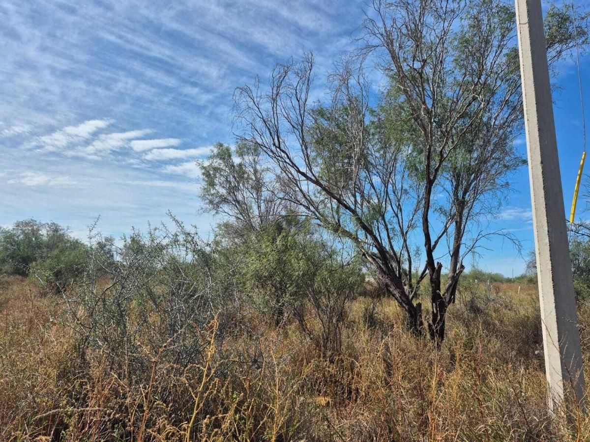 L18 PASEO LAS PALMAS TERRENO VILLAS La Paz BCS MLS #26-638 37 MLS #26-638 image #0