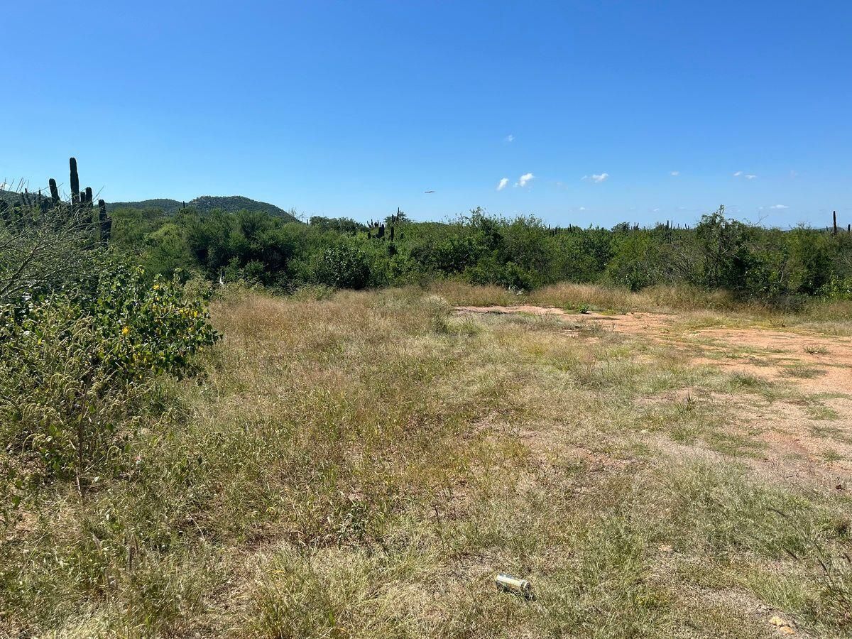 Terreno Km 12 Los Planes La Paz BCS MLS #26-646 15 MLS #26-646 image #0