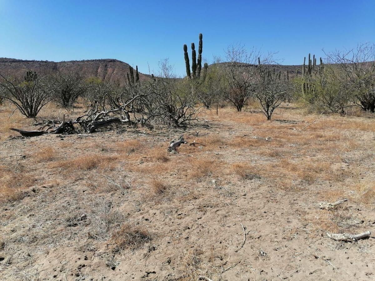 Alfredo V Bonfil Terreno Bonfil 20 La Paz BCS MLS #26-651 15 MLS #26-651 image #0