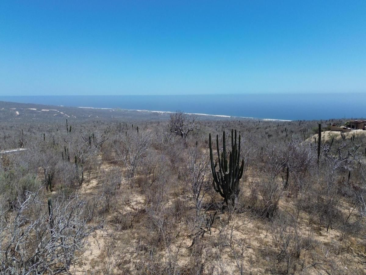 Los B Rolling Hills Pacific BCS MLS #26-671 37 MLS #26-671 image #0