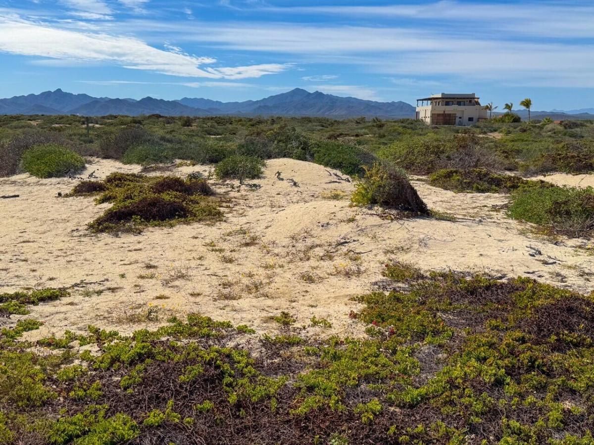 MLS #26-688 image #0