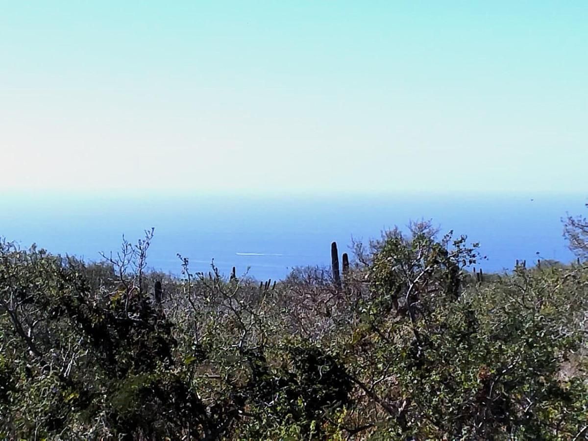 MLS #26-744 image #0