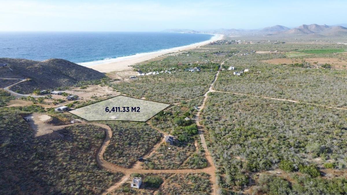 MLS #26-746 image #0