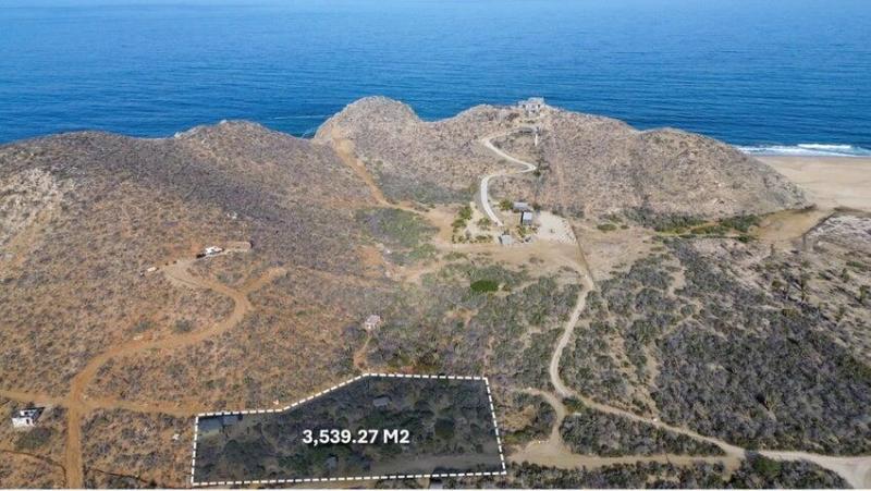 MLS #26-749 image #0