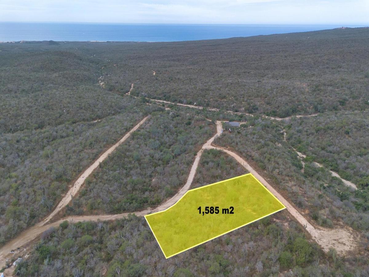 Santuario phase 2 Pacific BCS MLS #26-774 41 MLS #26-774 image #0