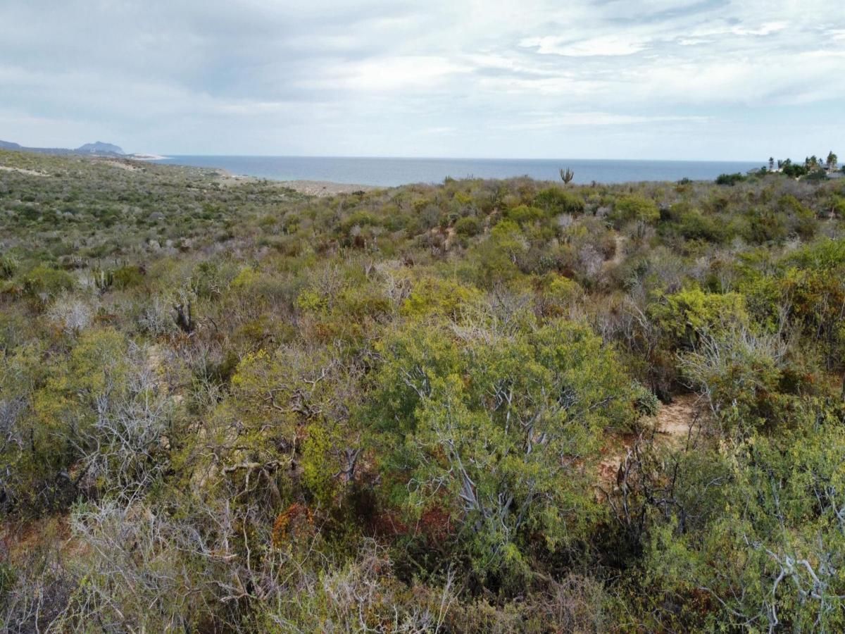 MLS #26-779 image #0