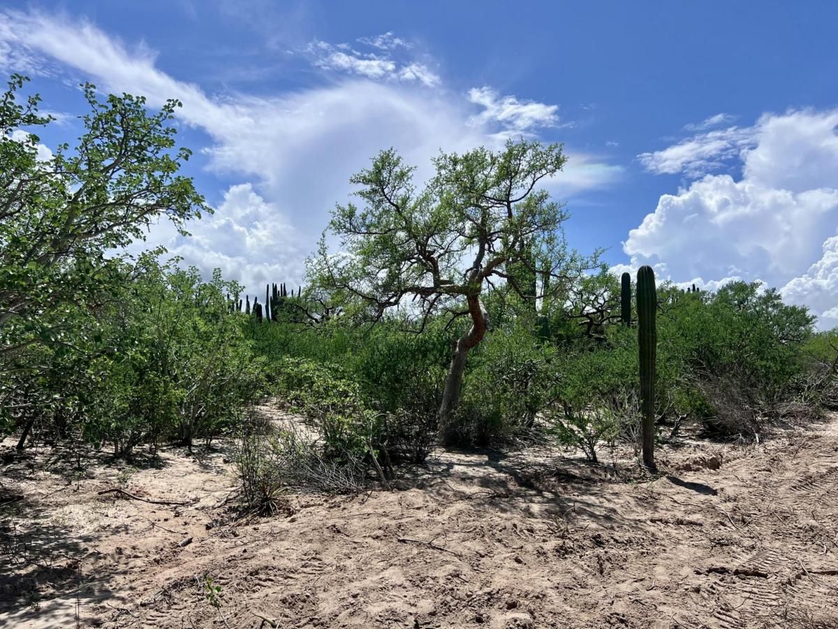 MLS #26-783 image #0