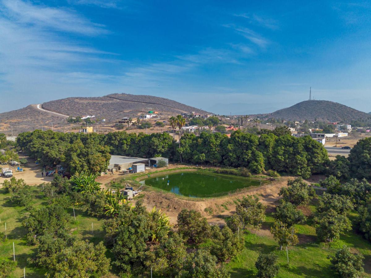 HighWay 19 Todos Santos -Los Cabos Rancho Las Marias Pacific BCS MLS #26-814 29 MLS #26-814 image #0