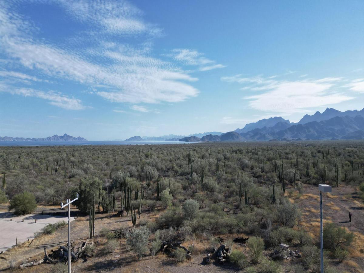 MLS #26-843 image #0