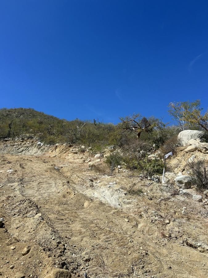 MLS #26-847 image #0