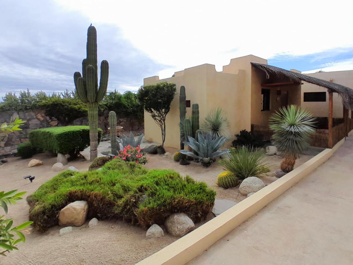 MLS #26-855 image #0