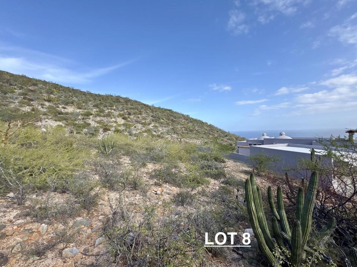 MLS #26-859 image #0