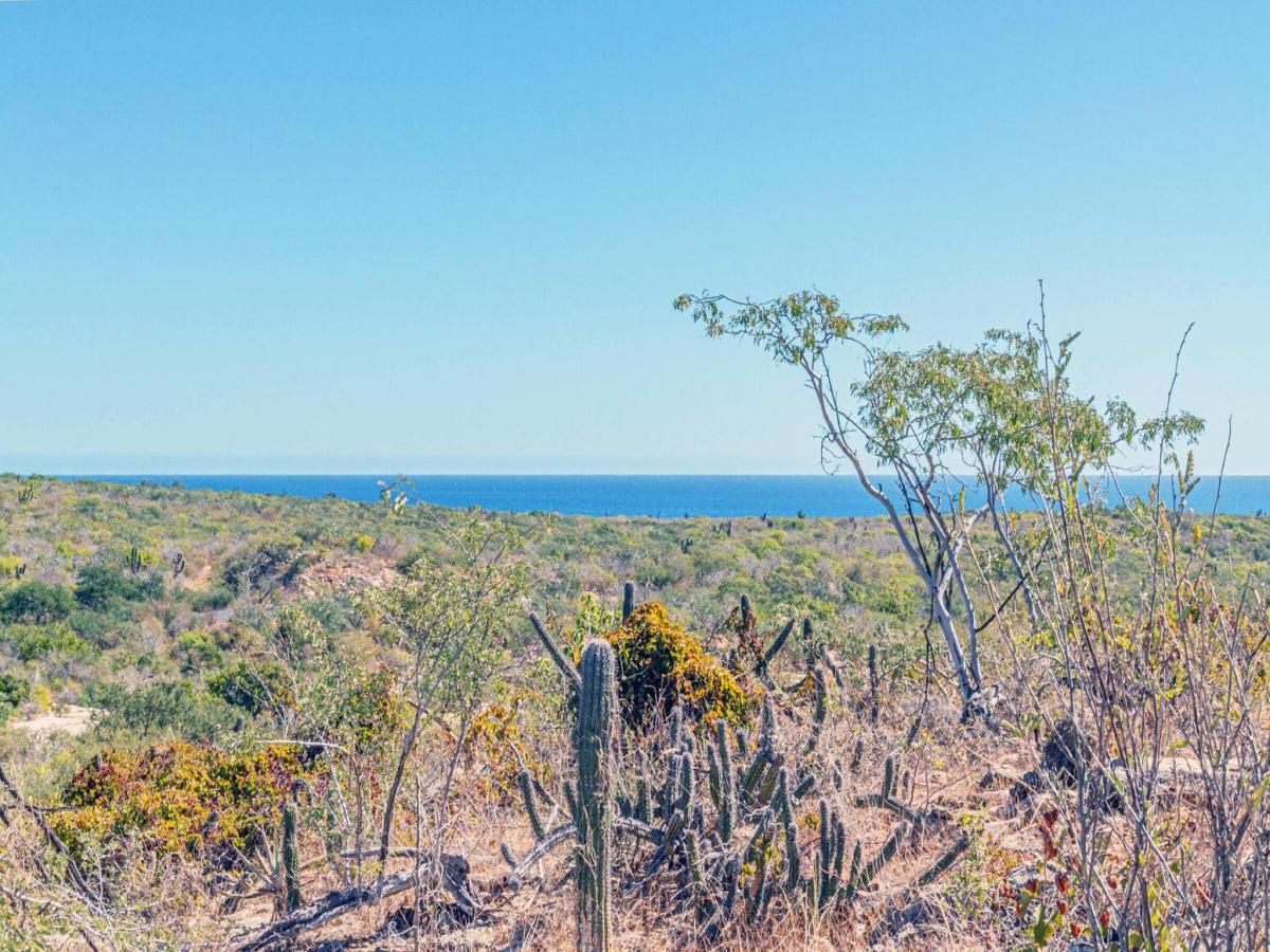 MLS #26-885 image #0