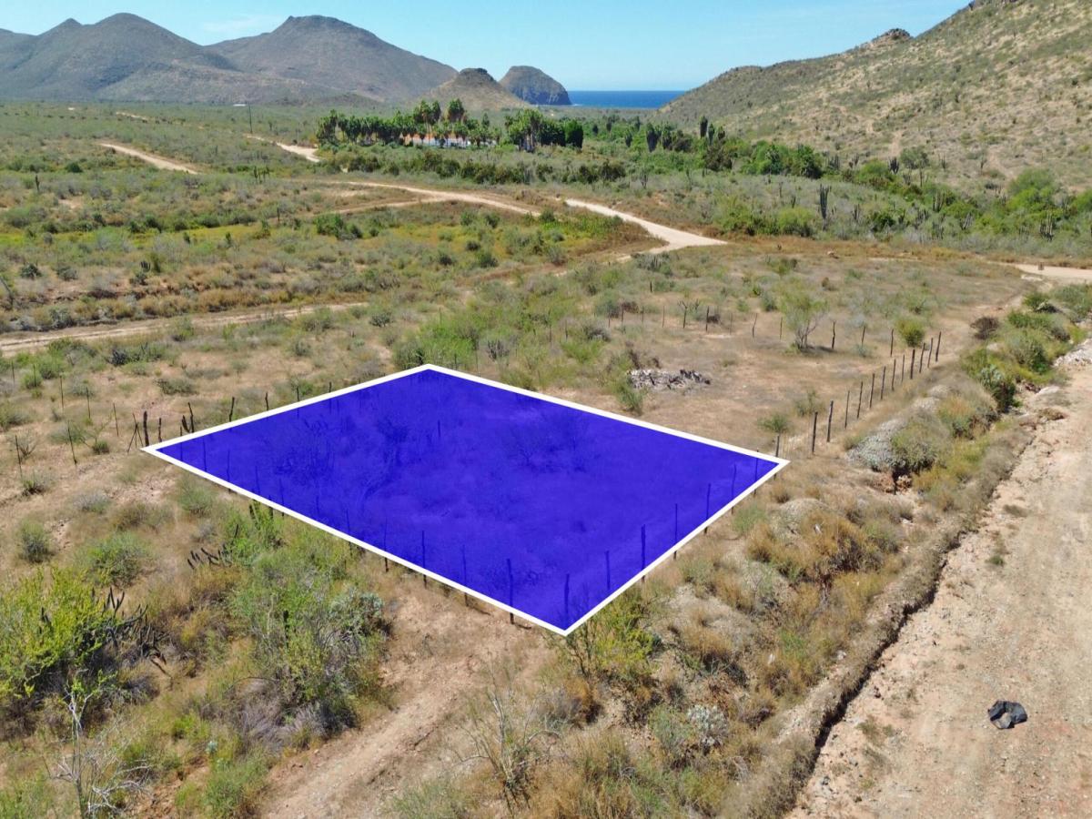 MLS #26-901 image #0