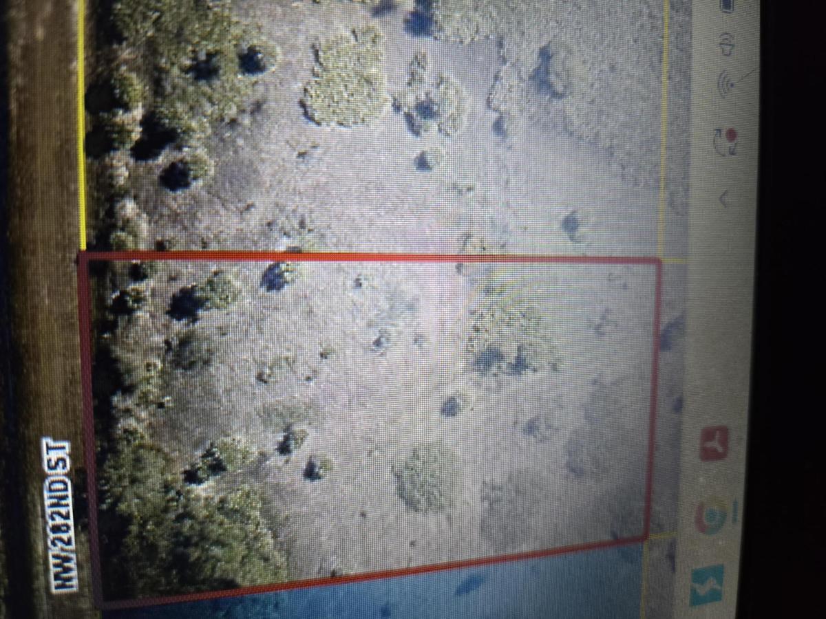 MLS #B26011750 image #0