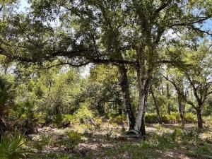 MLS #B26015180 image #0