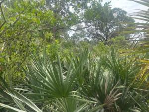 MLS #B26027426 image #0