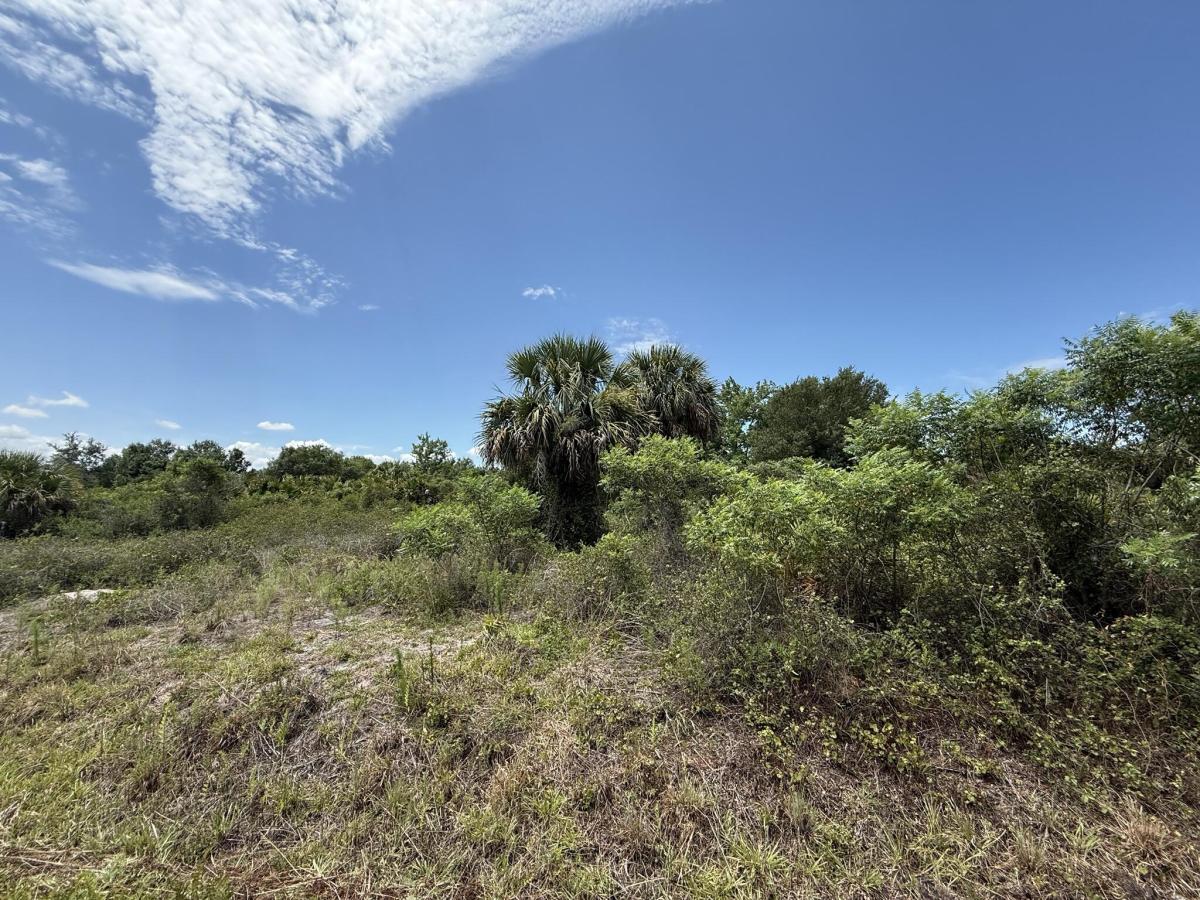 MLS #B26033487 image #0