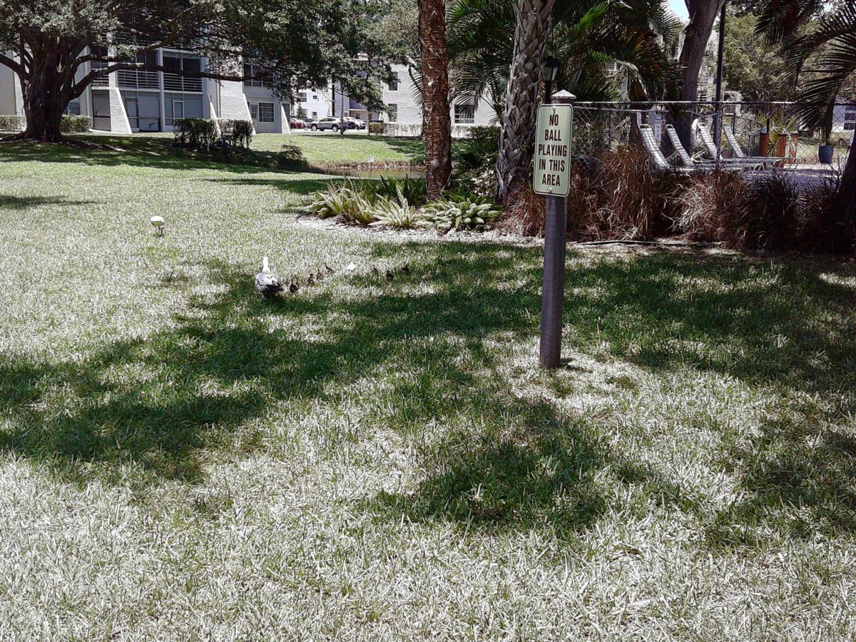 MLS #B26040715 image #0